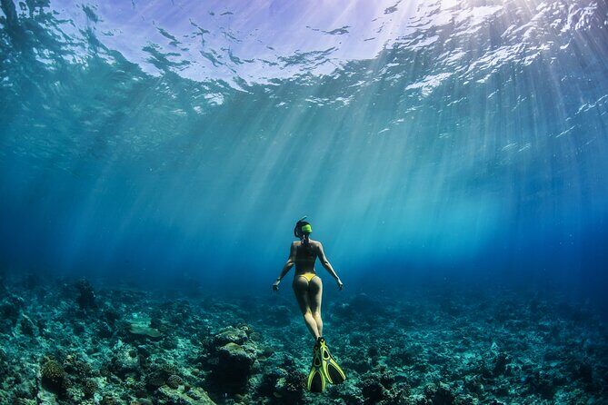 Cenote Cristalino Tour with Underwater Photo Session - What to Expect from the Tour