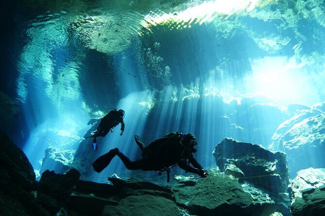 Cenote Diving - 2 Tank Dive Trip for Certified Divers - What to Expect from this Cenote Adventure