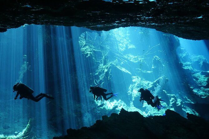 Cenote Diving - 2 Tank Dive Trip for Certified Divers - Final Thoughts: Why Choose This Cenote Diving Tour?