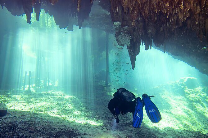 Cenote Dreamgate Guided Scuba Diving - Overview of the Tour