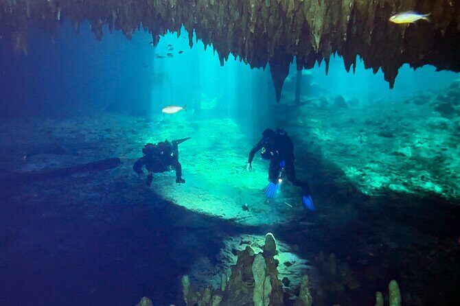 Cenote Dreamgate Guided Scuba Diving - FAQ