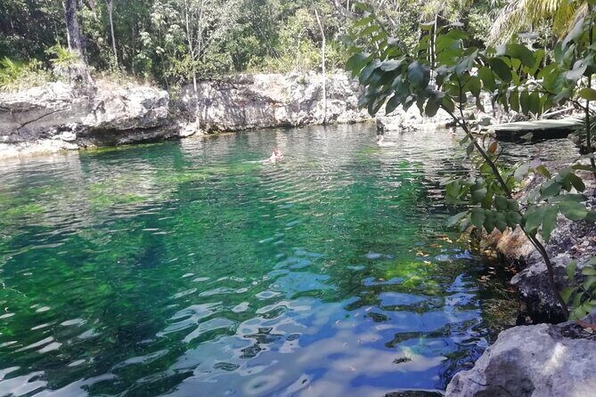 Cenote Express - A Closer Look at the Cenote Express Tour