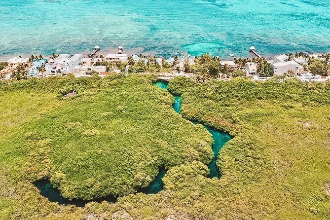 Cenote Paddleboarding and Snorkeling in Tulum - Authentic Experiences and Genuine Value