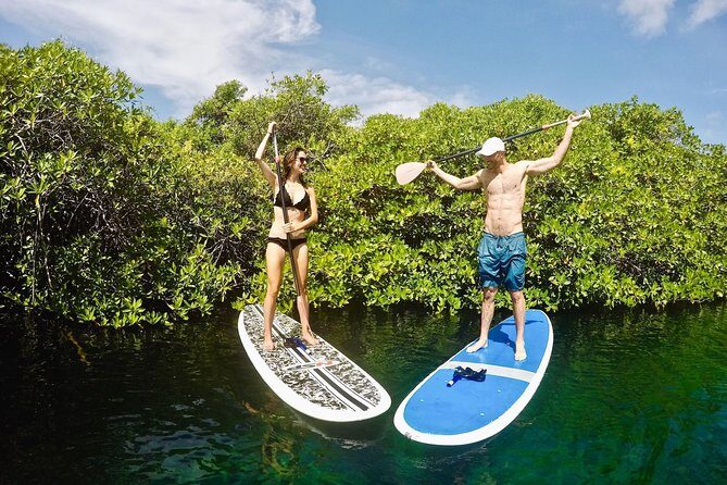 Cenote Paddleboarding and Snorkeling in Tulum - Final Thoughts: Is It Worth It?