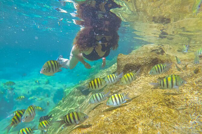 Cenote; Snorkeling and Photos with Colorful Fish - Who is This Tour Best For?