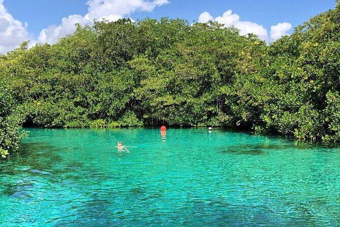 Cenote Triple Adventure Tour in Tulum - Who Will Love This Tour?