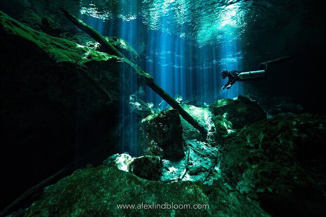 Cenotes 2-Day Scuba Diving Package in the Riviera Maya - In-Depth Look at the 2-Day Itinerary