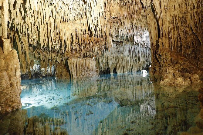 Cenotes and Paradise Lagoon - Introduction: A Fresh Take on Cancun’s Natural Wonders