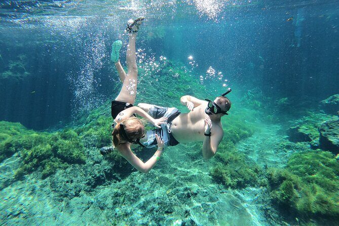 Cenotes by Bike and Mayan Cooking Class Half-Day Guided Tour - Key Points