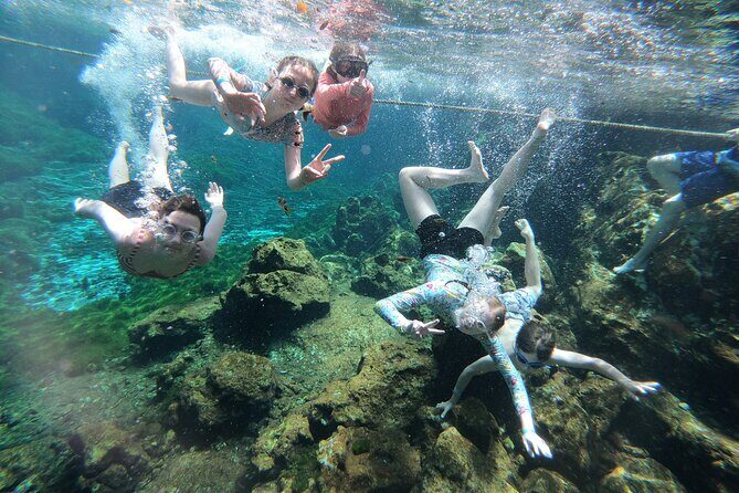 Cenotes by Bike and Mayan Cooking Class Half-Day Guided Tour - The Sum Up