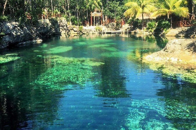 Cenotes Casa Tortuga 4 Cenotes Day Pass - Who Should Choose This Tour?