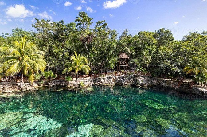 Cenotes Casa Tortuga 4 Cenotes Day Pass - The Sum Up