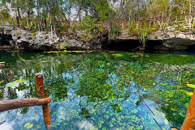 Cenotes El Pit and Nicte Ha Guided Scuba Diving - The Experience in Detail
