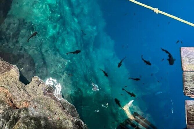Cenotes, Pink Waters and Chichén Itzá in Tizimin Yucatán México - Exploring the Itinerary in Detail