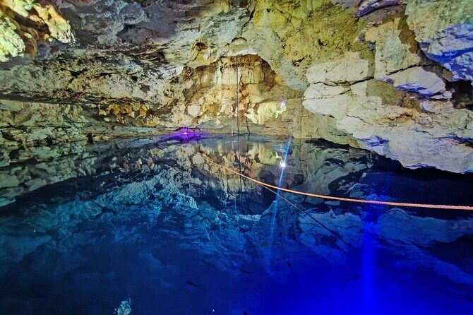 Cenotes, Pink Waters and Chichén Itzá in Tizimin Yucatán México - Who Is This Tour Best For?