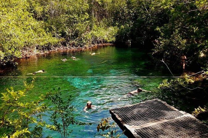 Cenotes Sacactum, Private tour, free snorkel - Logistics, Price, and Value