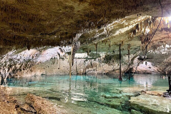 Cenotes Taak Bi Ha & Nicte Ha  VIP Snorkeling Private Tour - What’s Included and What to Expect
