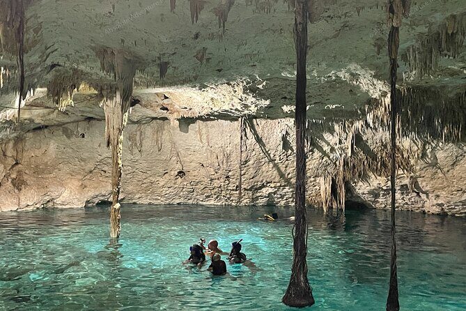 Cenotes Taak Bi Ha & Nicte Ha  VIP Snorkeling Private Tour - Authentic, Uncrowded Cenote Experiences
