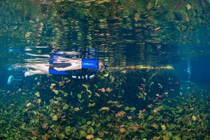 Cenotes Taak Bi Ha & Nicte Ha  VIP Snorkeling Private Tour - The Value Proposition