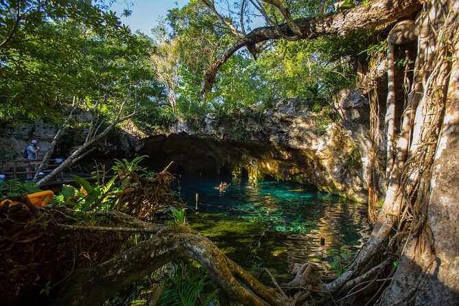 Cenotes trail jungle bike tour in Tulum with lunch - Practical Details and Considerations