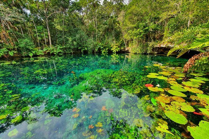Cenotes trail jungle bike tour in Tulum with lunch - FAQ