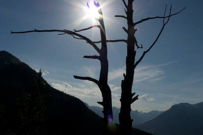 Centennial Ridge - Canadian Rockies Summit Series - The Itinerary and What to Expect
