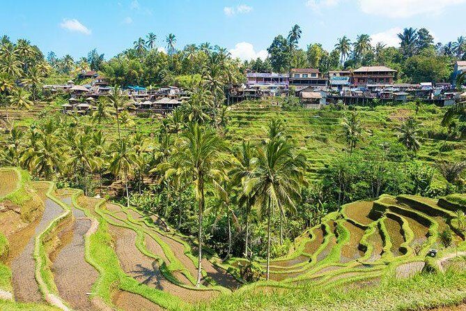 Central Bali Tour: Ubud Village, Kintamani Volcano, and Waterfall - Who Is This Tour Best For?