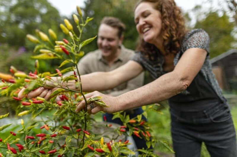 Central Coast NSW: The Winemakers Secret Garden Tour - Final Thoughts