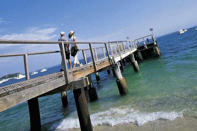 Central Coast Private Day Tour | Beaches, Bays and Wildlife & Reptile Park Entry - The Sum Up