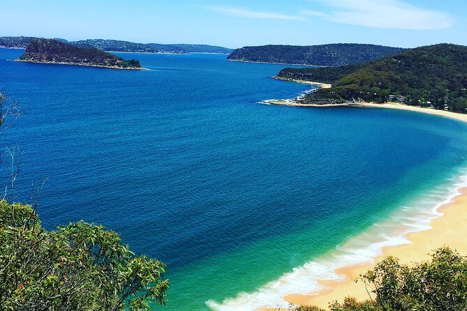 Central Coast Private Tour From Sydney, with Australian Reptile Park Option - Key Points