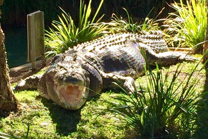 Central Coast Private Tour From Sydney, with Australian Reptile Park Option - Analyzing the Value