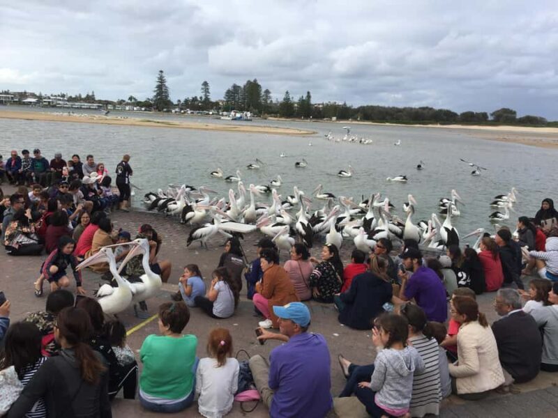 Central Coast Tour - Crackneck Point & Shelly Beach Views