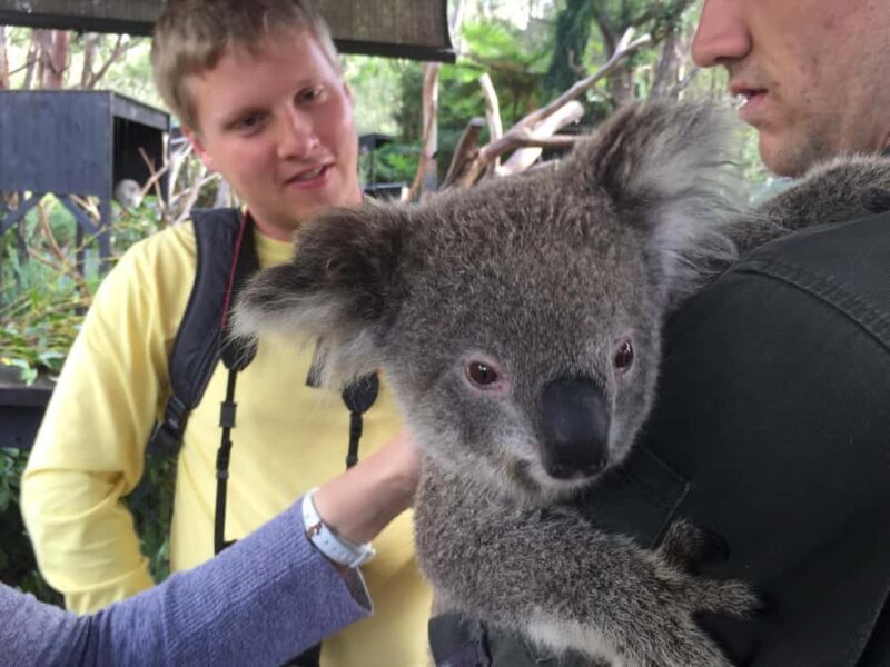 Central Coast Tour - Winding Down at Somersby Falls & Coastal Towns