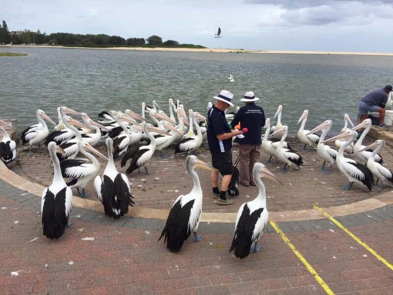 Central Coast Tour - Returning to Sydney