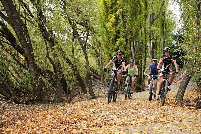Central Otago River Loop Trail on E Bike - Detailed Review