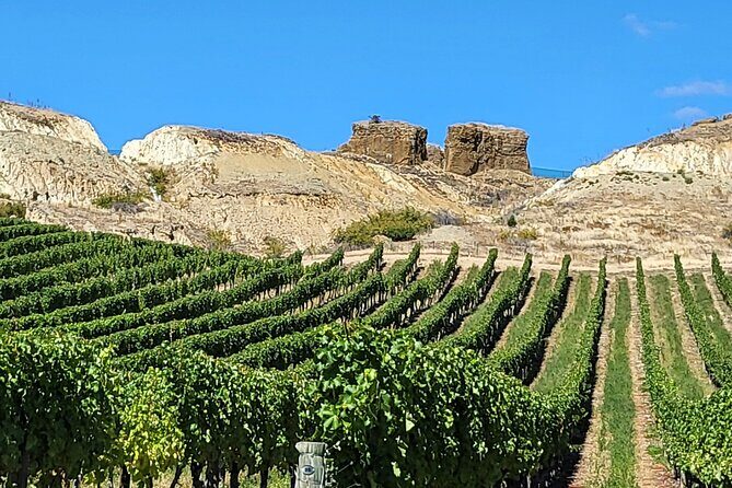 Central Otago Wine Tour Small Group, Expert Guide & Scenic Views - The Value of a Curated Experience