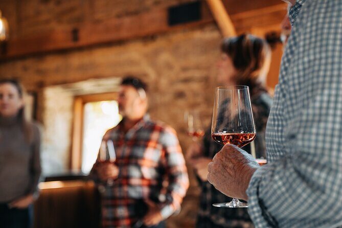 Central Otago Wine Tour Small Group, Expert Guide & Scenic Views - What the Reviews Say