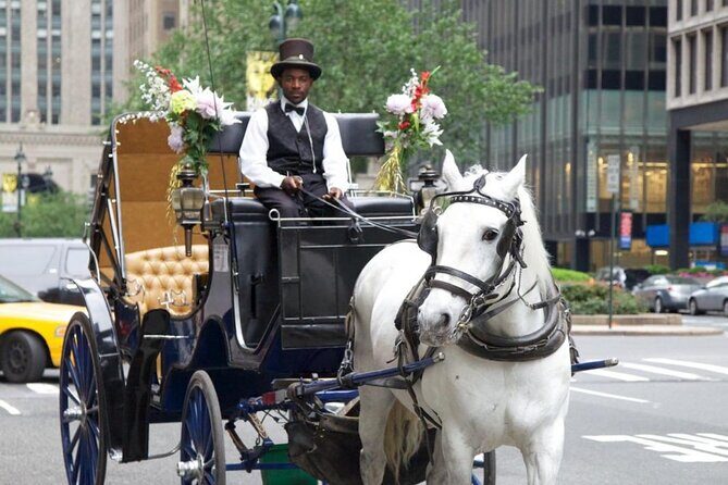 Central Park and NYC Horse Carriage Ride - An In-Depth Look at the Experience