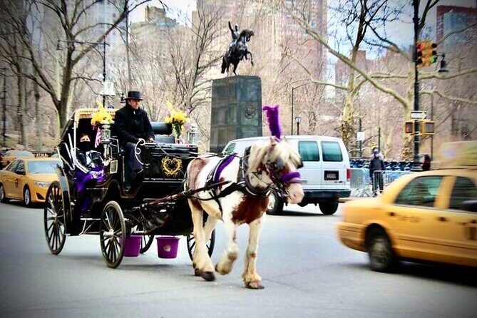 Central Park and NYC Horse Carriage Ride - FAQ