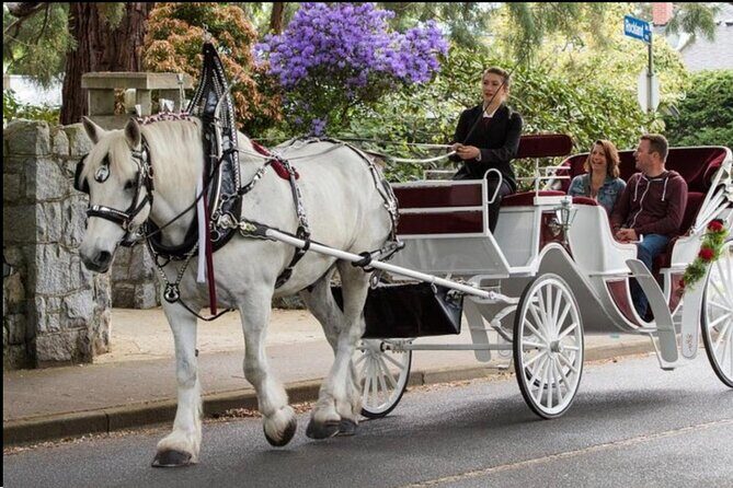 Central Park and NYC Private Horse Carriage Ride - An In-Depth Look at the Experience
