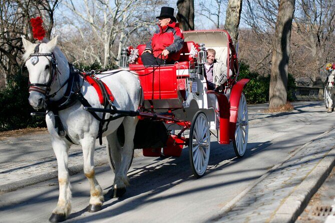 Central Park and NYC Private Horse Carriage Ride - Final Thoughts