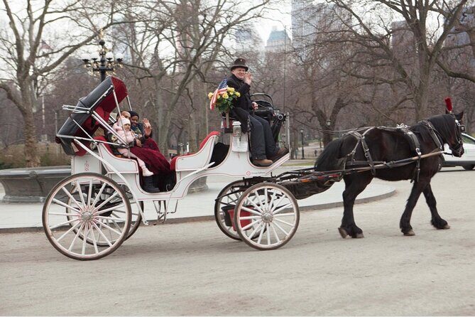 Central Park and NYC Private Horse Carriage Ride - Final recommendation