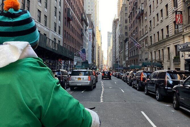 Central Park Guided Pedicab Tours - Practical Tips for a Smooth Tour