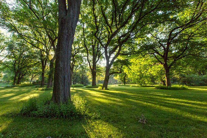 Central Park Guided Walking Tour - What to Expect During the Tour