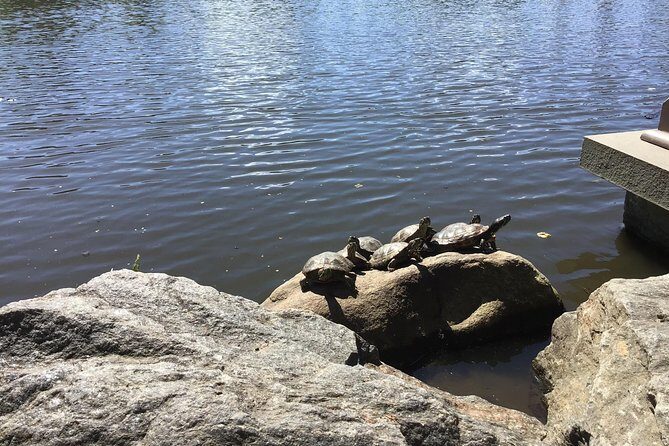 Central Park Guided Walking Tour - FAQ