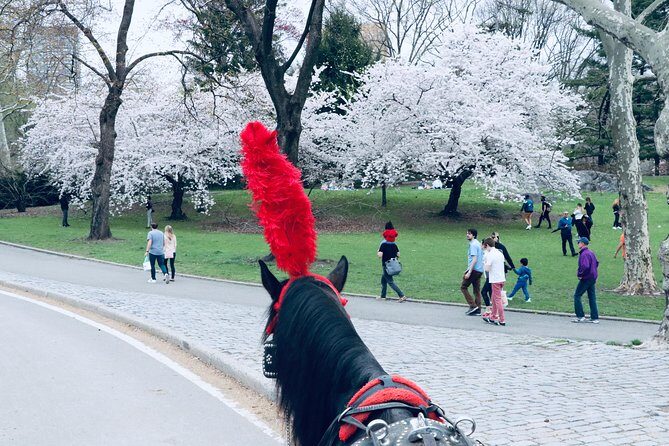 Central Park Horse Carriage Ride Short Loop (Up to 4 Adults)) - Who Should Consider This Tour?