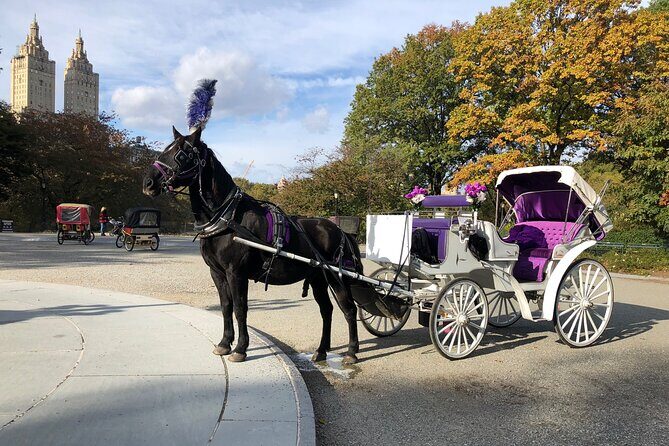 Central Park Horse Carriage Rides Since 2005 - What to Expect from the Tour