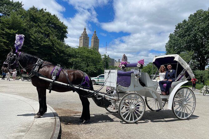 Central Park Horse Carriage Rides Since 2005 - Price and Value
