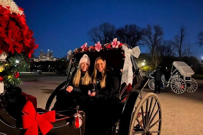 Central Park Moonlight Tour with Photo (45 min) ~ Skip the line - Key Points