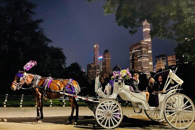 Central Park Moonlight Tour with Photo (45 min) ~ Skip the line - The Itinerary and Highlights